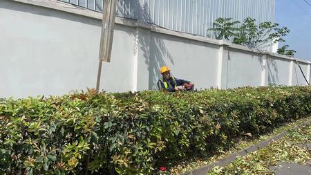 陕煤建设洗选煤运营公司神渭蒲城运营项目部：开展“清理环境卫生，我先行”主题活动