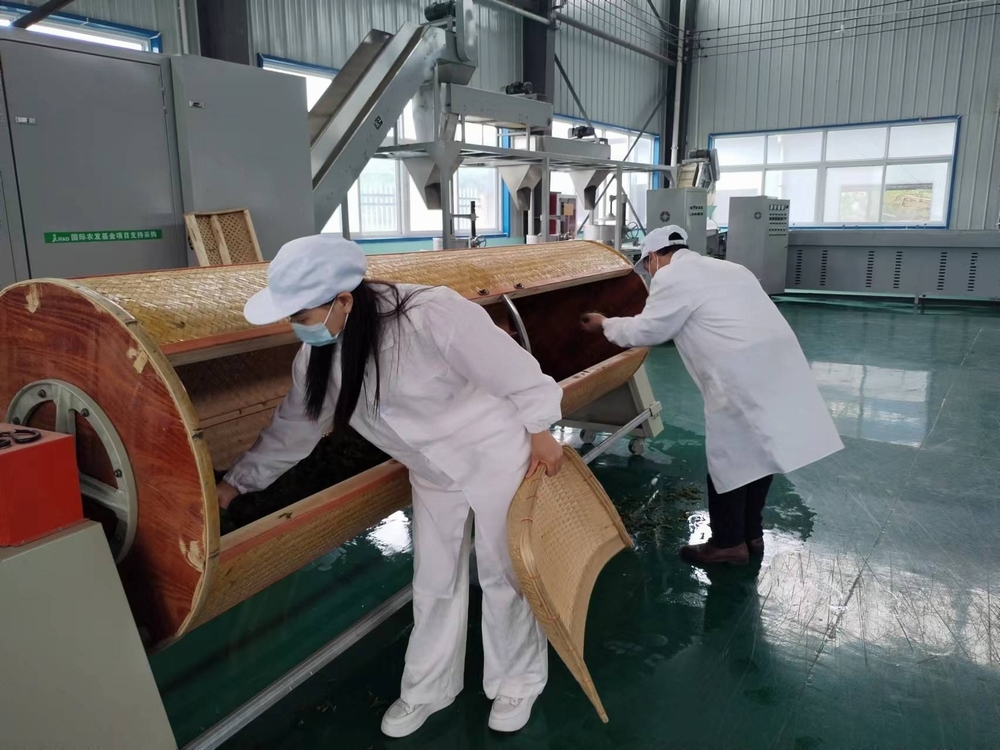 陕煤建设定点帮扶村：“天池大碗茶”促进产业发展正循环