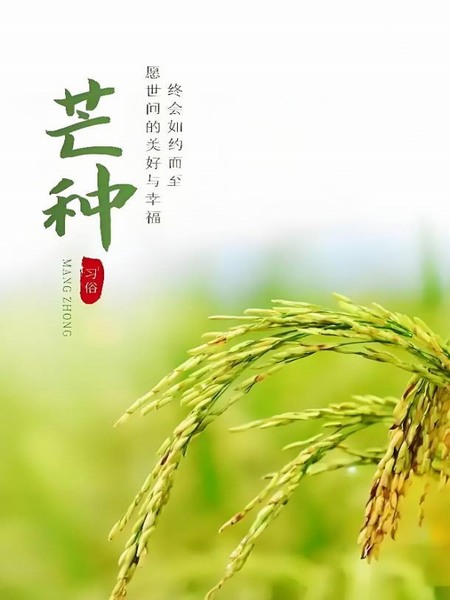 “忙”有所得 “终”有所获