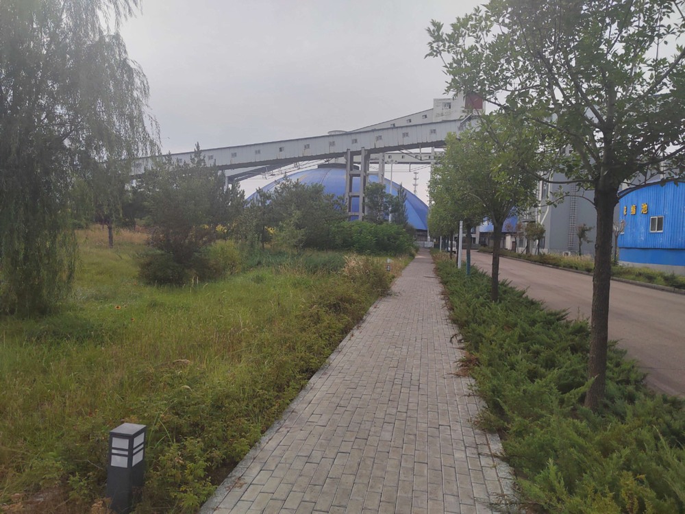 陕煤建设洗选煤运营公司红柳林洗煤厂项目部:秋韵里的安全坚守与生产奋进