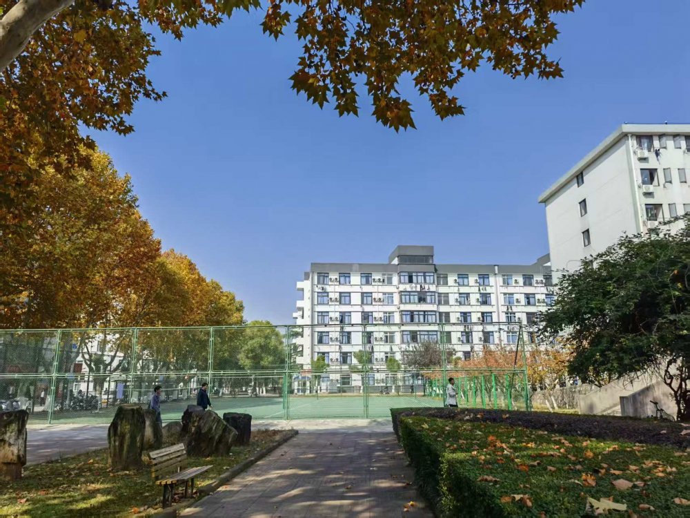 十六载归程 母校秋意暖